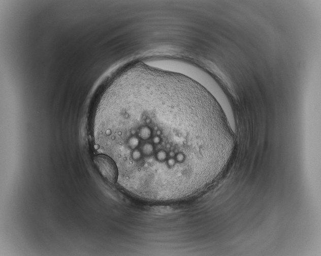 X0000115100392200911241238