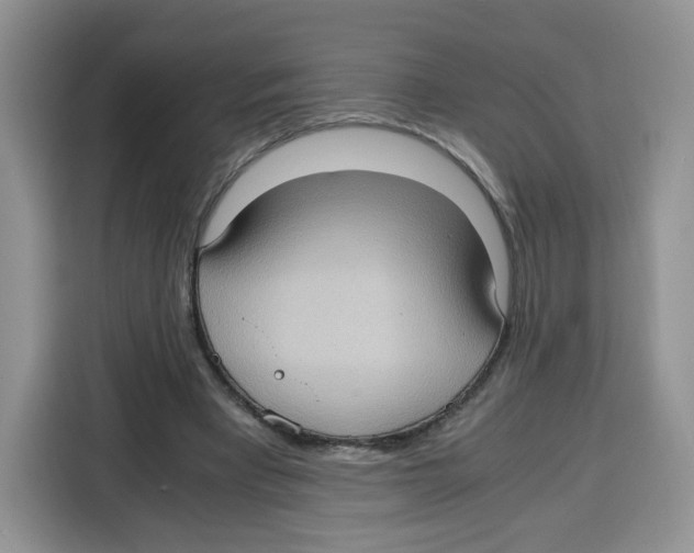 X0000115100393200911241238