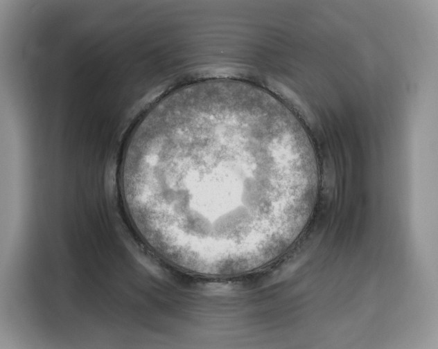 X0000115100394200911241238