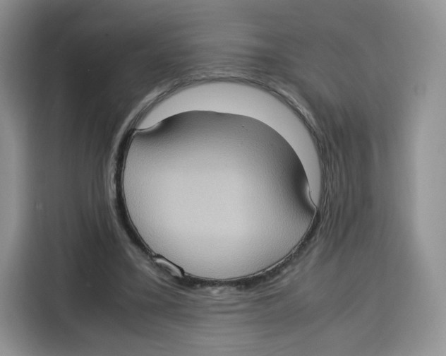 X0000115100395200911241238