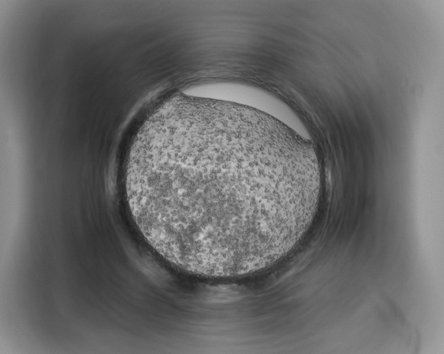 X0000115100396200911241238