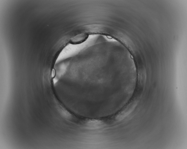 X0000115100397200911241238