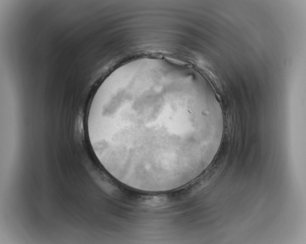 X0000115100398200911241238