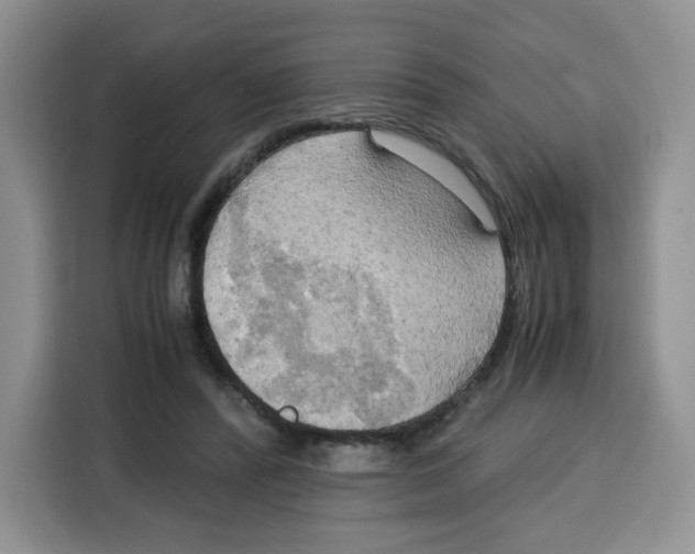 X0000115100400200911241238