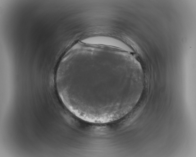 X0000115100401200911241238