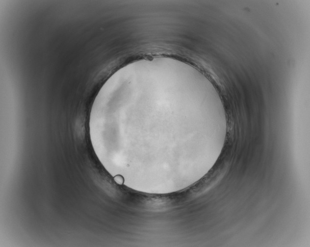 X0000115100402200911241238