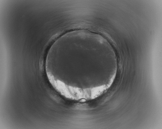 X0000115100403200911241237