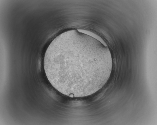 X0000115100404200911241237