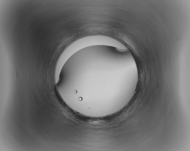 X0000115100407200911241237