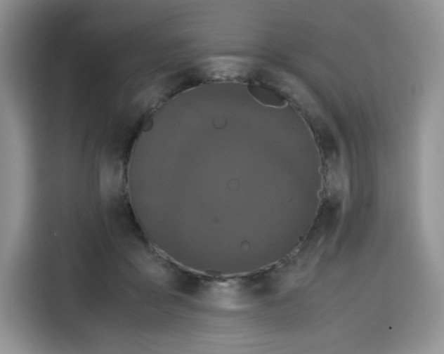 X0000115100411200911241237