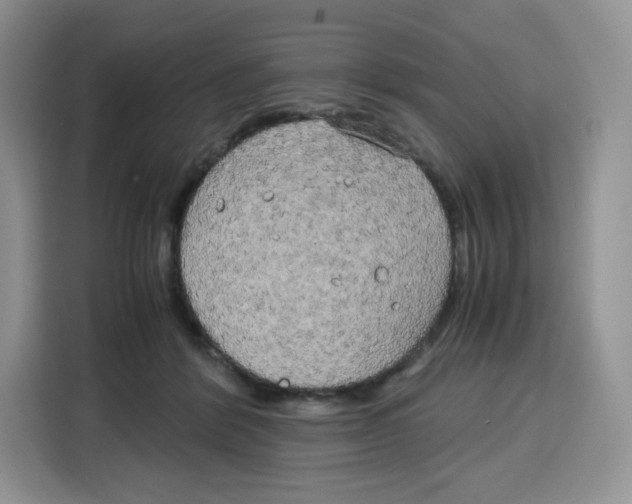 X0000115100412200911241237