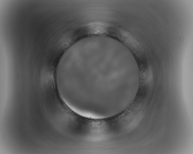 X0000115100415200911241237