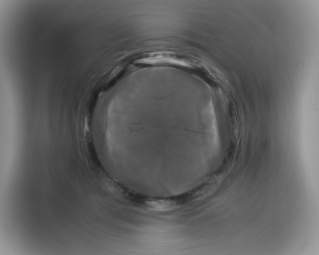 X0000115100417200911241237