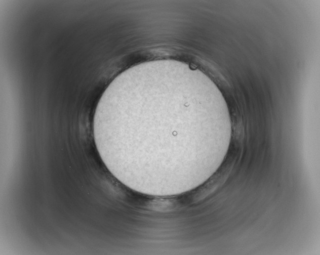 X0000115100418200911241237