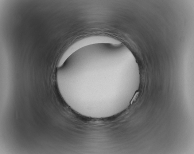 X0000115100419200911241237