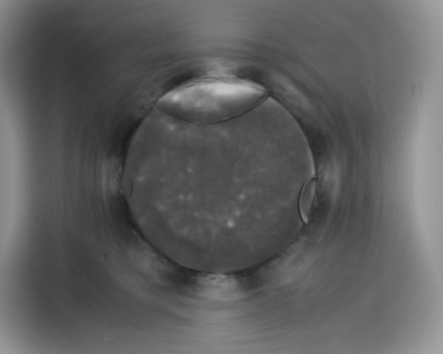 X0000115100421200911241237