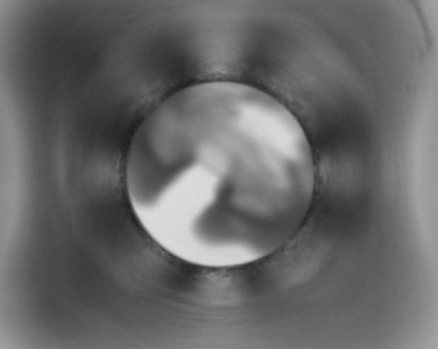 X0000115100423200911241237