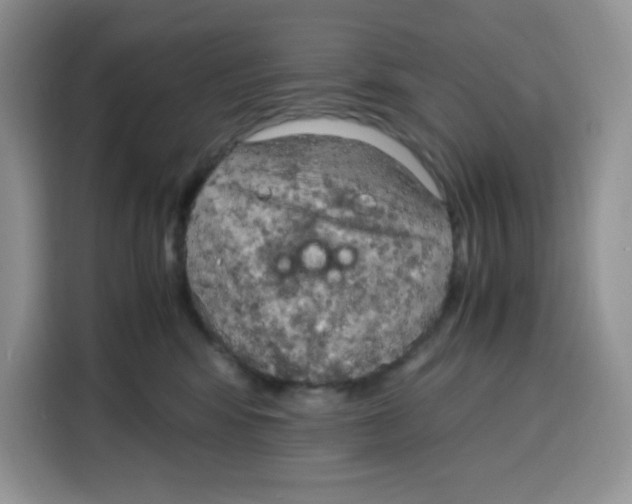 X0000115100424200911241237