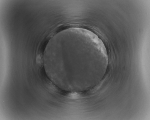 X0000115100425200911241237