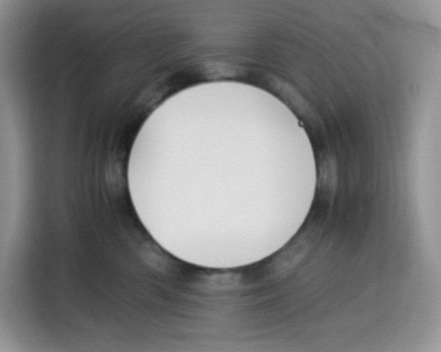 X0000115100426200911241237