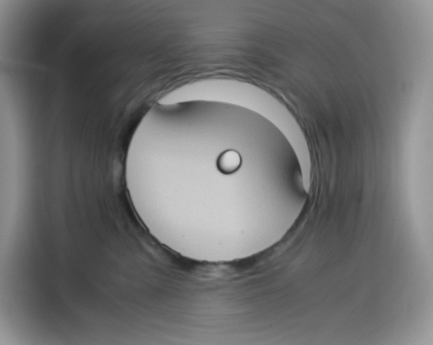 X0000115100427200911241237