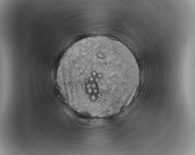 X0000115100428200911241237