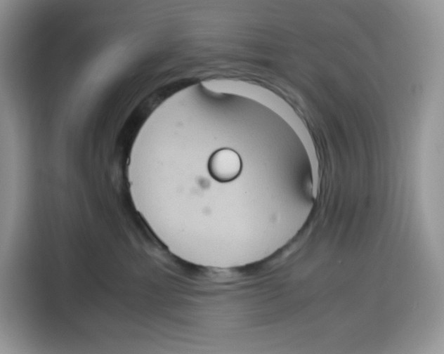 X0000115100429200911241237