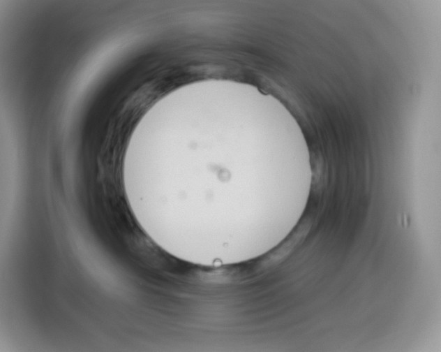 X0000115100430200911241237