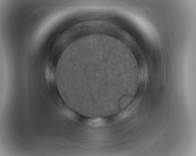 X0000115100431200911241237