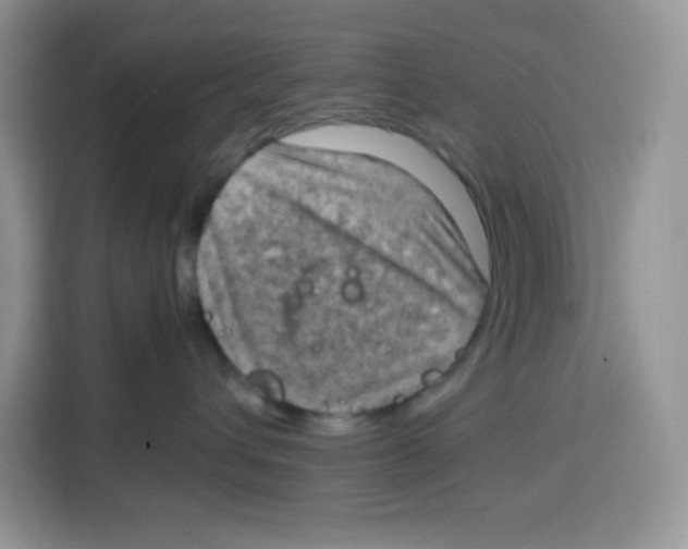 X0000115100432200911241237