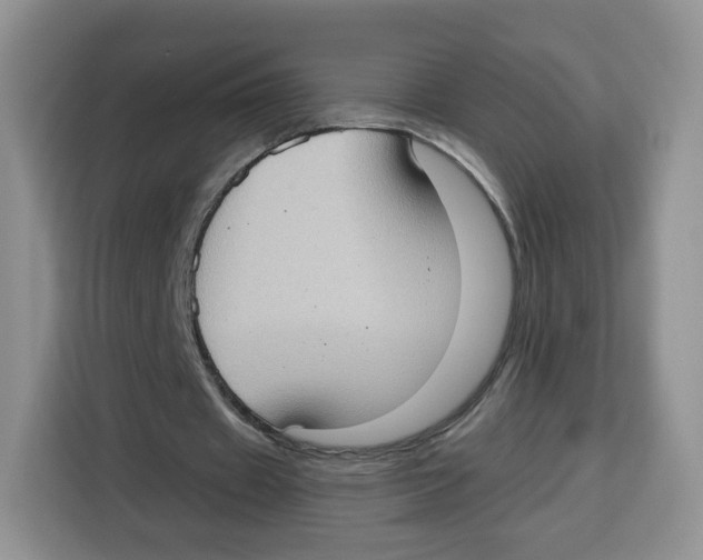 X0000115100433200911241236