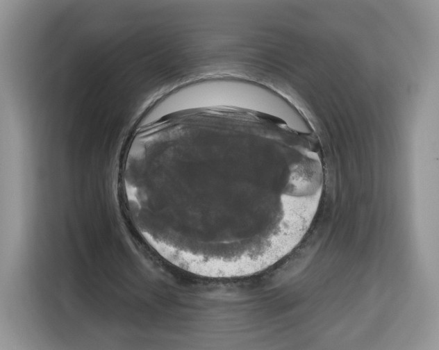 X0000115100434200911241237