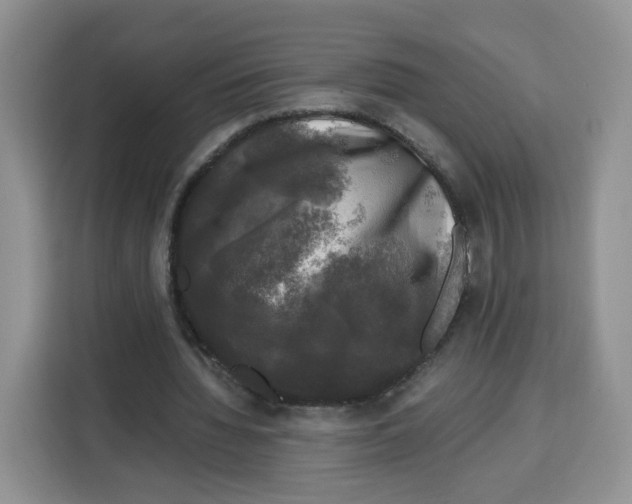 X0000115100436200911241237