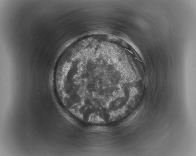 X0000115100437200911241237