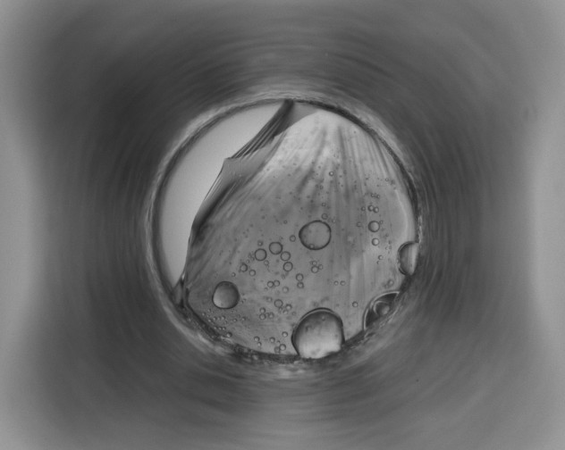 X0000115100438200911241237