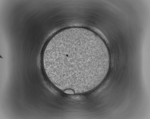 X0000115100439200911241237