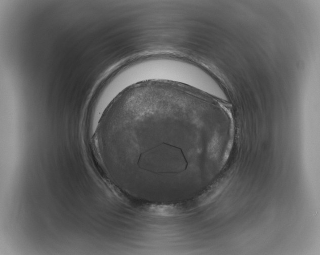 X0000115100440200911241237