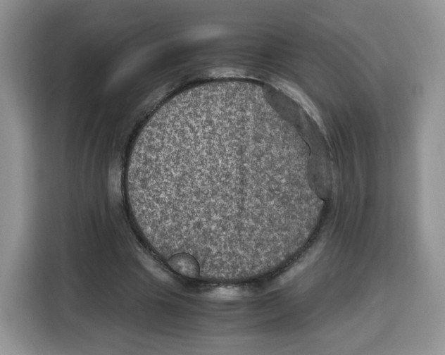 X0000115100441200911241237