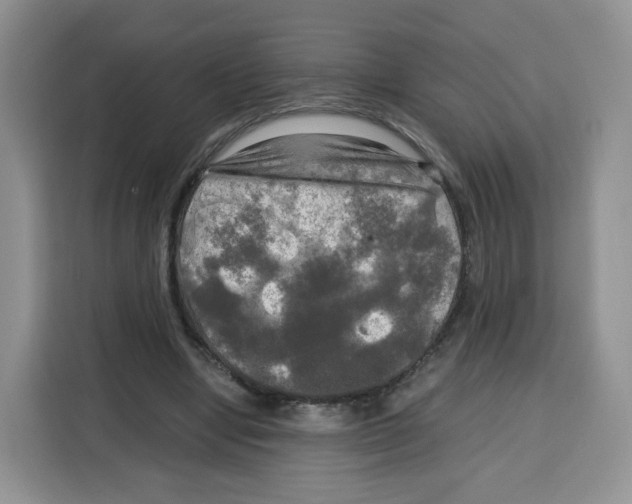 X0000115100442200911241237