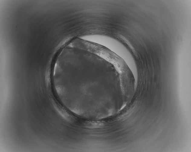 X0000115100443200911241237