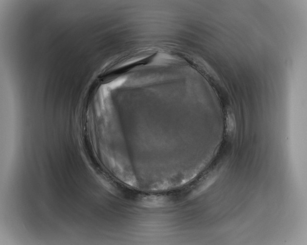 X0000115100444200911241237