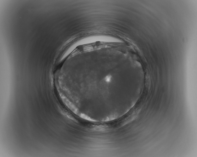 X0000115100446200911241237