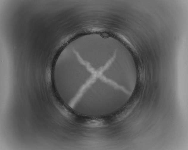 X0000115100447200911241237