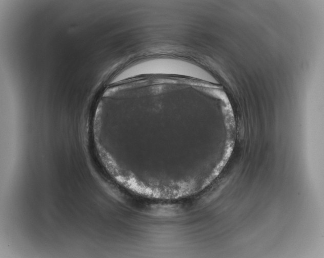 X0000115100448200911241237