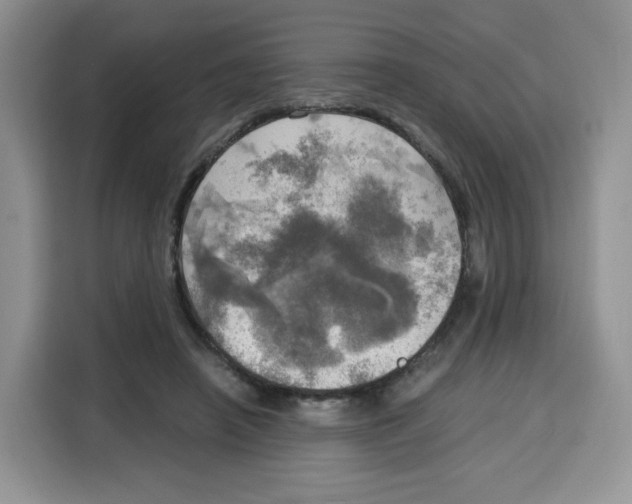 X0000115100450200911241237