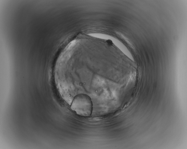 X0000115100451200911241237