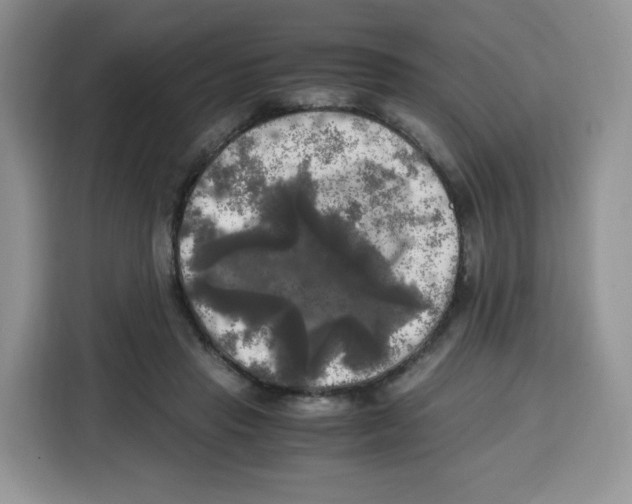 X0000115100453200911241237