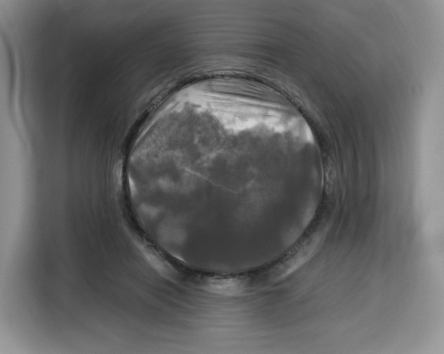 X0000115100454200911241237