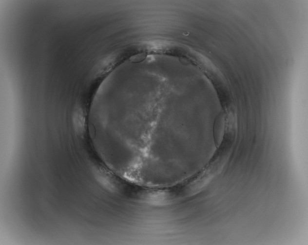 X0000115100456200911241237