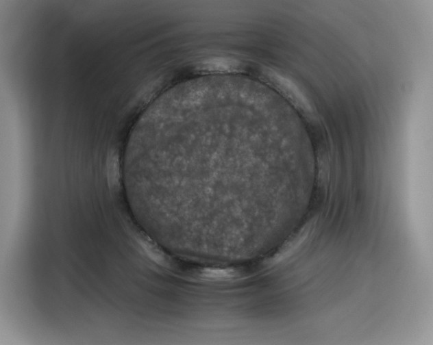 X0000115100457200911241237